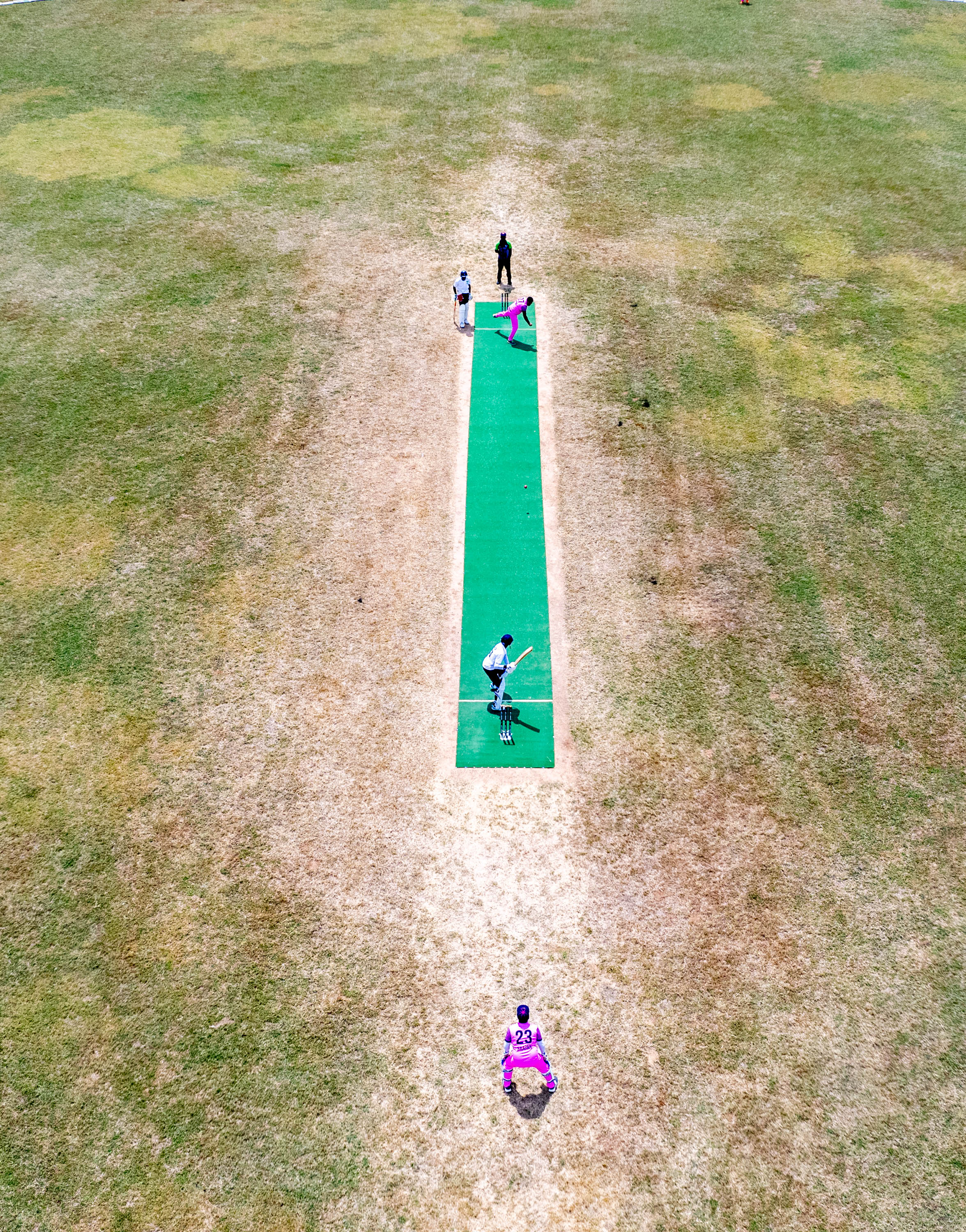 Cricket aerial